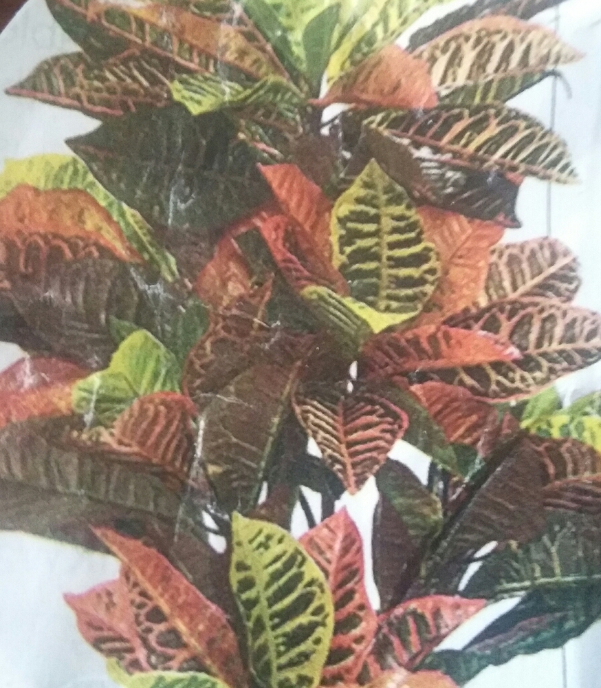 Realistic plant is maintenance free
